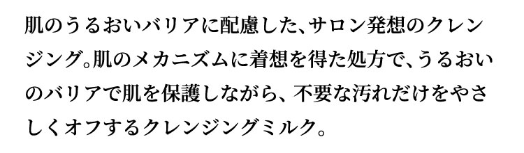 説明