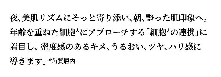 説明