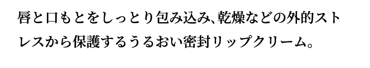 説明