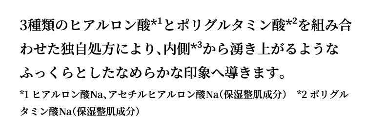 説明
