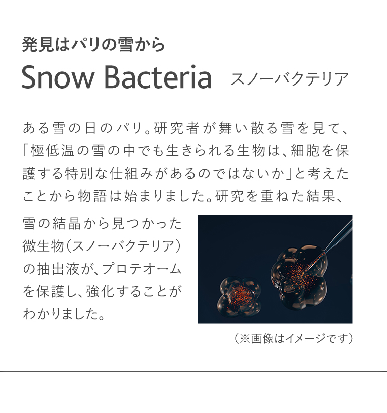 発見はパリの雪から Snow Bacteria スノーバクテリア ある雪の日のパリ。研究者が舞い散る雪を見て、「極低温の雪の中でも生きられる生物は、細胞を保護する特別な仕組みがあるのではないか」と考えたことから物語は始まりました。研究を重ねた結果、雪の結晶から見つかった微生物（スノーバクテリア）の抽出液が、プロテオームを保護し、強化することがわかりました。