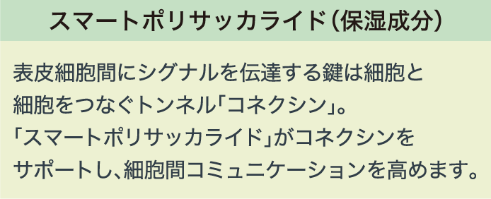 スマートポリサッカライド（保湿成分） 表皮細胞間にシグナルを伝達する鍵は細胞と細胞をつなぐトンネル「コネクシン」。「スマートポリサッカライド」がコネクシンをサポートし、細胞間コミュニケーションを高めます。