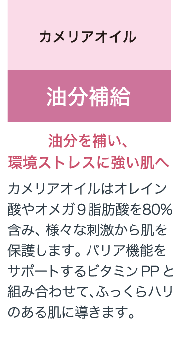 カメリアオイル 油分補給 油分を補い、環境ストレスに強い肌へ カメリアオイルはオレイン酸やオメガ９脂肪酸を80%含み、 様々な刺激から肌を保護します。 バリア機能をサポートするビタミンPPと組み合わせて、ふっくらハリのある肌に導きます。