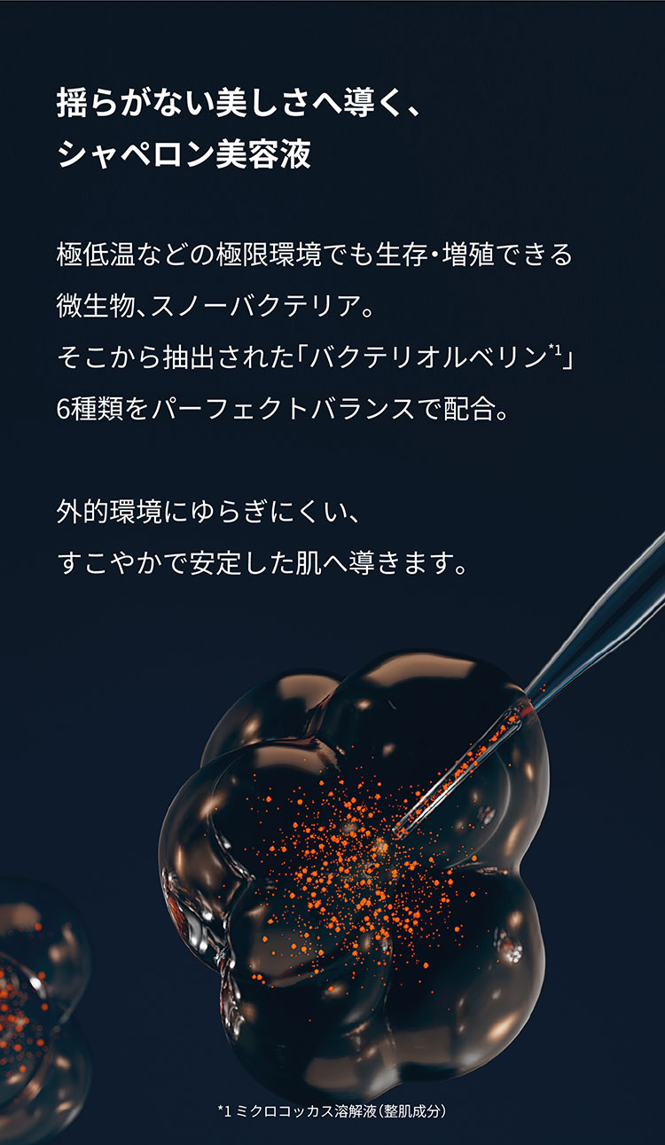 エージプロテオム｜美容液｜FACE CARE | エステダム