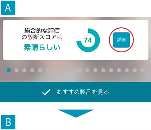 総合的な評価の診断スコアは素晴らしい