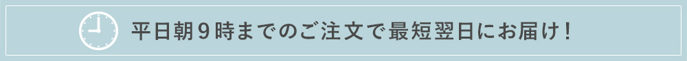 平日朝9時までのご注文で最短翌日にお届け!