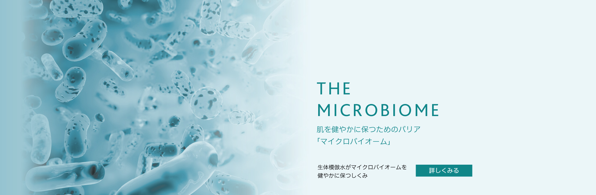 THE MICROBIOME 肌を健やかに保つためのバリア